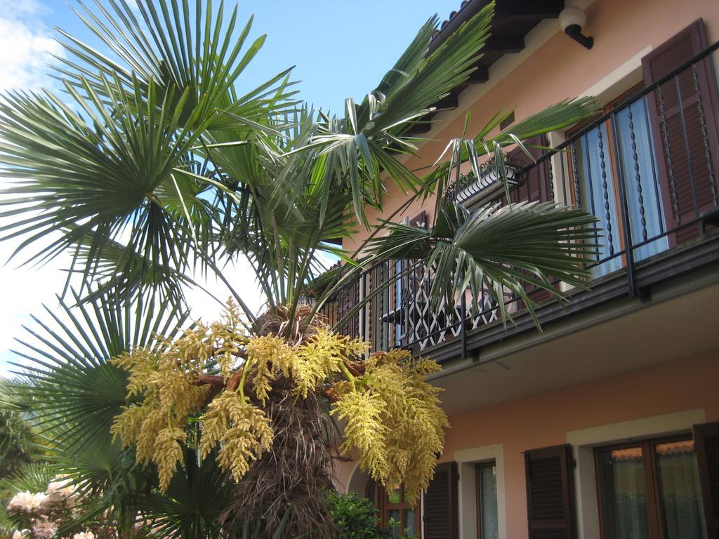 Villa Margherita Lake Maggiore Exterior photo