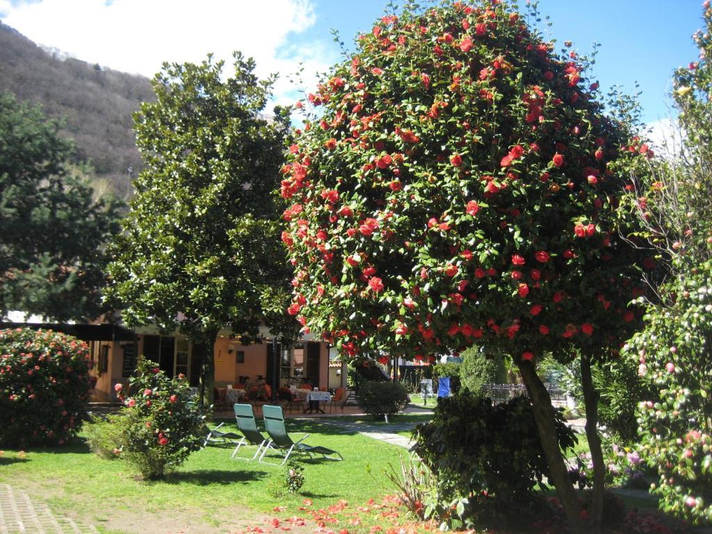 Villa Margherita Lake Maggiore Exterior photo