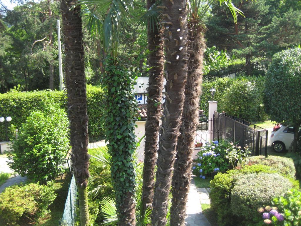 Villa Margherita Lake Maggiore Exterior photo